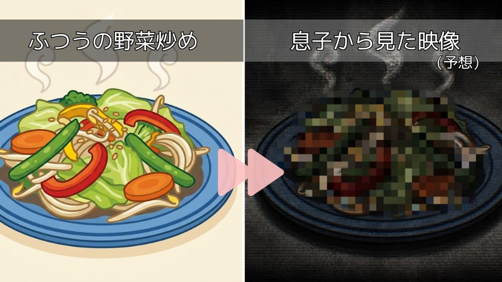 ふつうの野菜炒めが、息子にはモザイクのかかった怖い映像のように見えることを表した比較イラスト